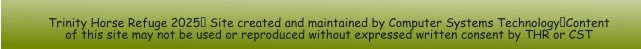 Trinity Horse Refuge 2025 Site created and maintained by Computer Systems TechnologyContent of this site may not be used or reproduced without expressed written consent by THR or CST